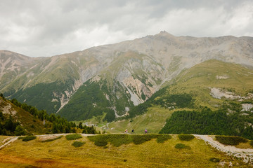 Fototapeta na wymiar Bikers in the distance on high alpine mountain bike trail surrouned by mountains in Livigno Italy