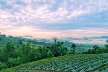 sunrise on Phu tub berk,Petchabun,Thailand.