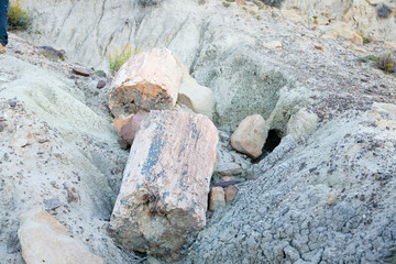 La Leona petrified forest, Patagonia, Argentina