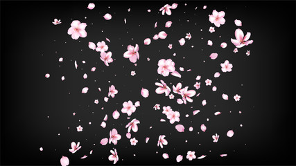 Nice Sakura Blossom Isolated Vector. Beautiful Falling 3d Petals Wedding Pattern. Japanese Bokeh Flowers Illustration. Valentine, Mother's Day Tender Nice Sakura Blossom Isolated on Black