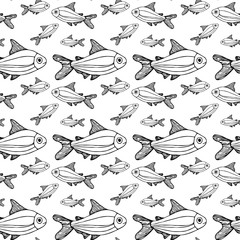 big and small fish pattern white background isolated