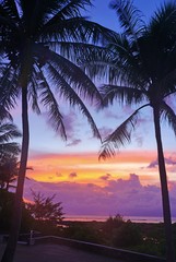Dramatic purple and orange sunrise colors over palm trees in Bora Bora, French Polynesia - obrazy, fototapety, plakaty
