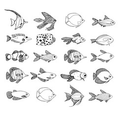 set of fish marine black contour, painted fish for decoration