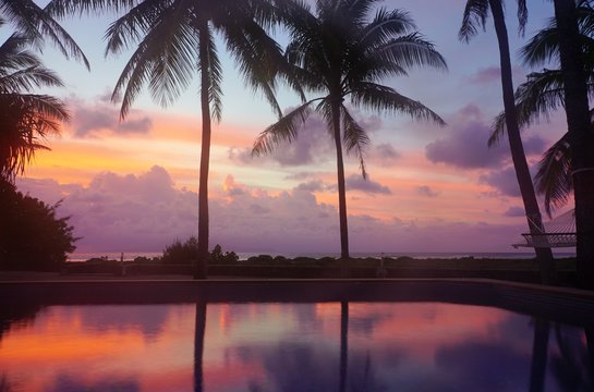 Dramatic purple and orange sunrise colors over palm trees in Bora Bora, French Polynesia