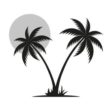 silhouette of a black palm tree with a moon on a white background