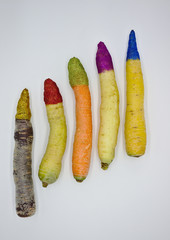 Kolorowa marchewka z brokatem © Vanderbeck