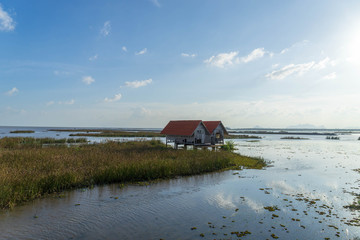 Small house in the middle of the lake with green tree, blue sky and shiny sun.