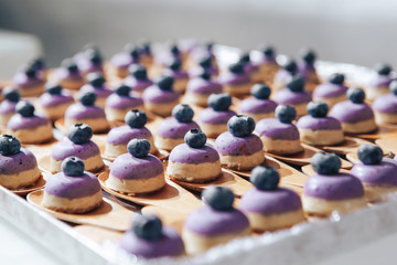 Obraz na płótnie Canvas Exclusive blueberry cupcakes handmade. Variety of delicious party dessert food.