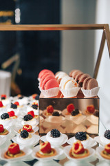 Variety of delicious festive dessert food, macaroons