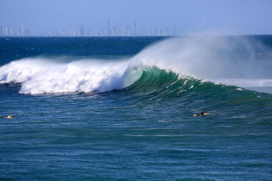 Snapper Rocks Perfect Surf