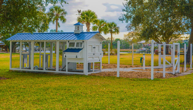 Chicken Coop in St Johns County, Florida