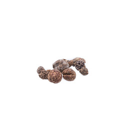 Dried Herbs,Amomum villosum Lour.,Bustard cardamom, Tavoy cardamom,Zingiberaceae