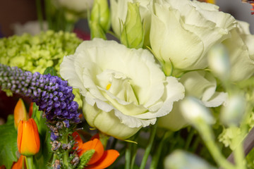Fototapeta premium Floral background with colofrul fresh flowers in bouquet, macro photo close up