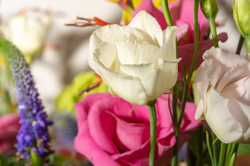 Floral background with colofrul fresh flowers in bouquet, macro photo close up