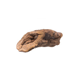 Dried Herbs, Rheum palmatum Linn.,Rheum tanguticum Maxim. ex Balf., Rheum officinale Baill.,POLYGONACEAE