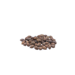 Dried Herbs,Brucea javanica (L.) Merr.,Brucea amarissima Desv.,Simaroubaceae
