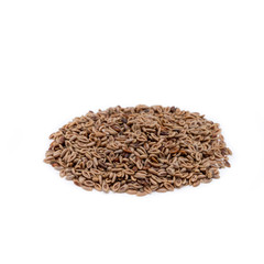 Dried Herbs,Ispaghula seed,Plantago ovata Forssk.,P. ispaghula Roxburgh,Plantaginaceae