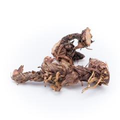 Dried Herbs, Umbrella Plant,cyperus flabelliformis Rottb.,CYPERACEAE