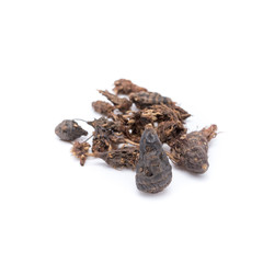 Dried Herbs,Nut grass,Coco grass,Cyperus rotundus Linn.,CYPERACEAE