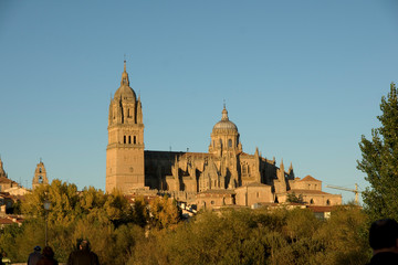 Fototapeta na wymiar .Catedral,Salamanca,Castilla-Leon,Spain
