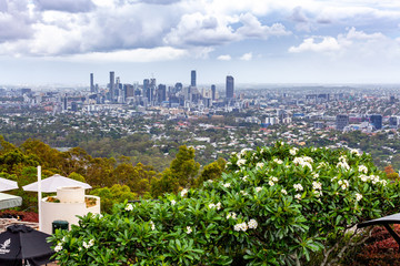 Brisbane CBD skyline viewed from mount Coot-tha lookout - obrazy, fototapety, plakaty