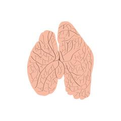 Isolated human cut brain image. Vector illustration design