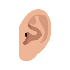 Isolated human ear image. Vector illustration design