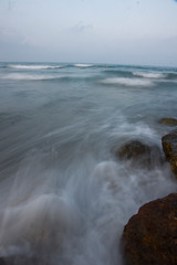 SONY DSC