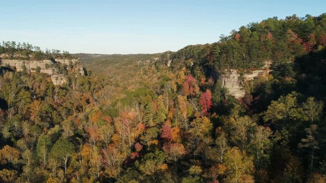 Aerial, forest in Slade, Kentucky