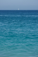 Obraz premium SONY DSC