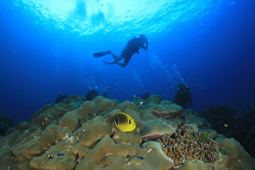 Fototapeta na wymiar Scuba divers explore coral reef 