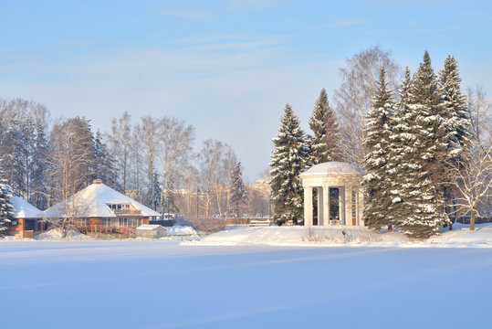 Winter landscape in park.