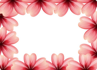 pink flower frame concept