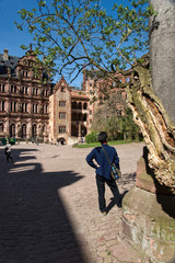 Fototapeta na wymiar Heidelberg Castle, Heidelberg. Baden-WŸrttenberg. Germany
