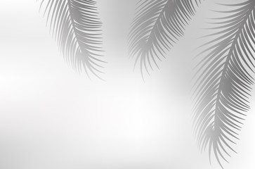 palm leaf graphic shadow
