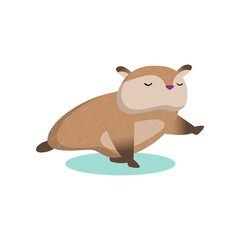 Little cute hamster stands in the plank on the opposite leg and arm isolated on white background