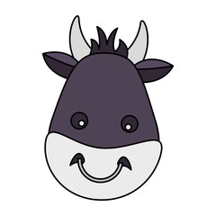 bull face animal