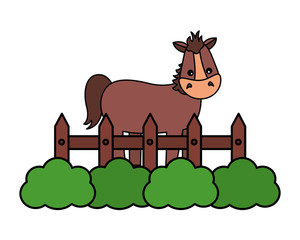 horse fence farm
