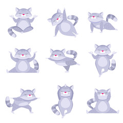 Fototapeta premium Set of cute raccoons doing relaxing exercise and meditating in different poses isolated on white background