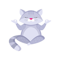 Cute raccoon sitting in lotus pose and meditating isolated on white background