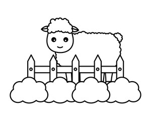 sheep fence farm