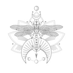 Vector illustration with hand drawn dragonfly and Sacred symbol on white background. Abstract mystic sign.