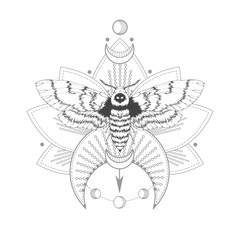 Vector illustration with hand drawn dead head moth and Sacred symbol on white background. Abstract mystic sign.