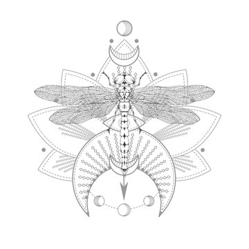 Vector illustration with hand drawn dragonfly and Sacred symbol on white background. Abstract mystic sign.