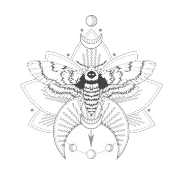 Vector illustration with hand drawn dead head moth and Sacred symbol on white background. Abstract mystic sign.