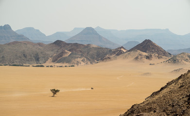 lone tree, Damaraland