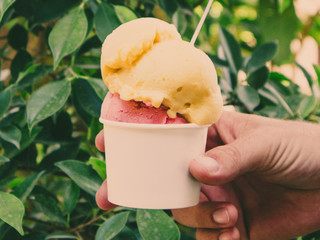 People holding a  Mango and Strawberry Ice Cream cone in a Summer Sunny Day with Green Background