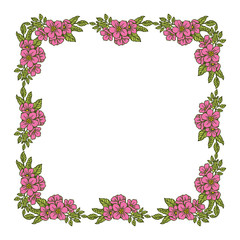Vector illustration frame of pink flowers blooms hand drawn