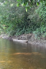 Fototapeta na wymiar Old wooden canoe on the river