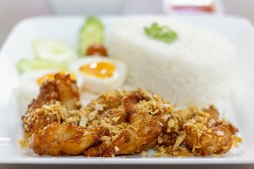 Fried Chicken with Garlic Pepper and boiled egg on Rice